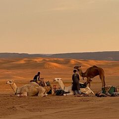 IMG_4624