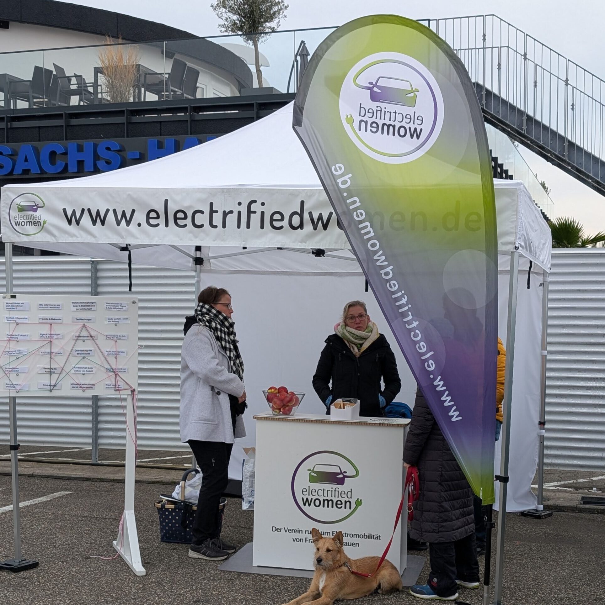 PXL_20251019_071902826.MP